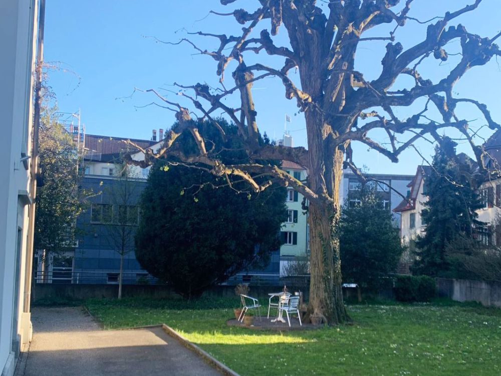 Garten der Villa Schürmann Olten